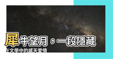 犀牛望月感情|犀牛望月:解釋,出處,用法,示例,典故,